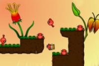Игра Дибллы Игра Дибллы